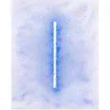 Untitled (White Line) by Bernard Winitz, acrylic on canvas, sold Feb 2025