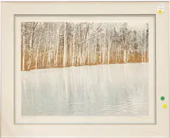 Untitled by Paula Crane, aquatint, sold Mar 2025