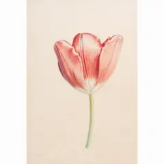 Untitled by Rory McEwen, lithograph, sold Apr 2025