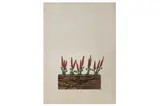 R.a. (1935-2015) by Ivor Abrahams, screenprint, offered Nov 2021