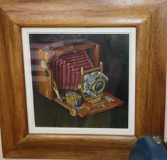 Camera by James McDonald, acrylic on board, sold Aug 2020