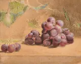 A still life study of grapes with trailing vines by Frederick Thomas Baynes, watercolour and gouache, sold Jun 2021