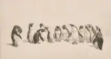 Gentleman of the Jury by Leonard Robert Brightwell, etching, sold Jun 2021