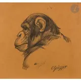 Solange le Chimpanzé by Gaston Suisse, vers 1940, Crayon sur papier bistre, sold Apr 2023