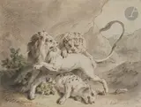 Lion attaqué par des félins by Jean-Baptiste Huet, 1778, Plume, encre brune et aquarelle, sold Mar 2023