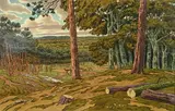 La Forêt (planche 13 série Les aspects de la nature) by Henri Rivière, Lithographie en couleurs, sold Nov 2020