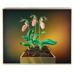 Pink Lady's Slippers by W. Louis Jones, Oil on canvas mounted on canvas, sold Apr 2023