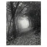 Appalachian Trail and Mist by Hullihen Moore, Gelatin silver print, sold Apr 2023