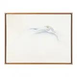 Meditation on a Shell by Sue Sneddon, Oil on canvas, sold Apr 2023