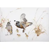 Valley Quail (Male Sunning Himself) by Bryan Wilson, 1972, oil on canvas, sold May 2025