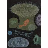Untitled by Emmy Lou Packard, woodcut monoprint, sold May 2025