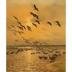 Untitled (Seagulls) by Peter Markham Scott, 1953, oil on canvas, sold May 2025