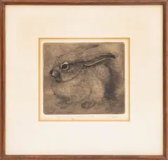 Young Jackrabbit by Sheridan Oman, Etching on Paper, sold Sep 2026
