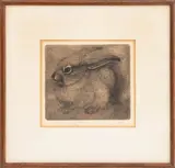 Young Jackrabbit by Sheridan Oman, Etching on Paper, sold Sep 2026