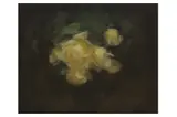 Untitled by Stuart Park, oil on canvas, offered Nov 2021