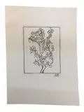 Untitled by Illustration.- Maillol, woodcut, offered Nov 2021