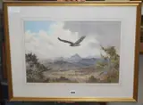 Martial Eagle - Zimbabwe dry season by John Cyril Harrison, watercolour, sold Jun 2020