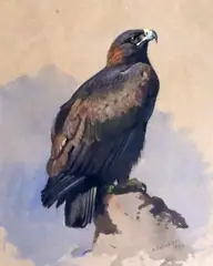 Untitled by Archibald Thorburn, 1884, ink and watercolour, sold May 2020