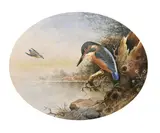 Kingfisher on Alert by John Duncan, watercolour, sold May 2021