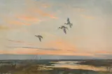 British, A scene of flying birds at dusk by Peter Scott, lithograph, offered May 2021