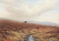 Grouse in Flight by Ian MacGillivray, oil on canvas, sold Nov 2012