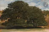 Deux Chênes à la Reine Blanche, Bas-Bréau, forêt de Fontainebleau by Auguste Anastasi, Toile, sold Mar 2023