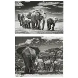 Elephants / Elephants and Antelope (Two Large Photographs) by Tom Bossard, Digital photographs, sold Mar 2023