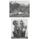 Cheetahs / Elephants (Two Large Photographs) by Tom Bossard, Digital photographs, sold Mar 2023