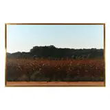 Cornfield, Route 17, York County, Virginia by James Warwick Jones, Acrylic on canvas, sold Mar 2023