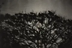 Kanazawa from 鴉 Ravens by Masahisa Fukase, 1977, Oversized gelatin silver print, printed early 1980s, sold Oct 2026