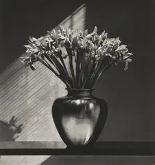 Irises by Robert Mapplethorpe, 1987, Photogravure, sold Oct 2026