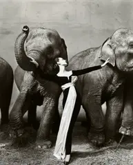 Dovima with elephants, Evening dress by Dior, Circque d'Hiver, Paris, August by Richard Avedon, 1955, Gelatin silver print, printed later, sold Oct 2026