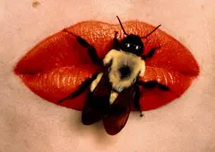 Bee on Lips, New York by Irving Penn, 1995, Dye transfer print, printed 1999, sold Oct 2026