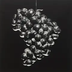 Grapes by Robert Mapplethorpe, 1985, Gelatin silver print, printed 1985, sold Oct 2026