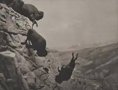 Untitled (Falling Buffalo) by David Wojnarowicz, 1988, Platinum print, printed 1994, sold Oct 2026