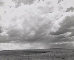 On the Pawnee National Grassland, Colorado by Robert Adams, 1984, Gelatin silver print, sold Oct 2026