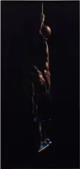 Strange Fruit by Hank Willis Thomas, 2011, Chromogenic print, flush-mounted, sold Oct 2026