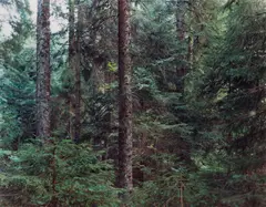 Paradise 20, Bayrischer Wald by Thomas Struth, 1999, Chromogenic print, face-mounted to Plexiglas, sold Oct 2026