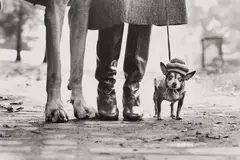 New York City by Elliott Erwitt, 1946, Gelatin silver print, printed later, sold Oct 2026