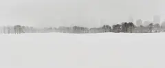 Central Park, New York City, NY by Bruce Davidson, 1992, Gelatin silver print, printed later, sold Oct 2026