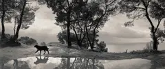 Cilento, Italy by Pentti Sammallahti, 1999, Gelatin silver print, sold Oct 2026