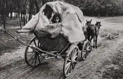 Romania (Roma Girl in Cart) by Josef Koudelka, 1968, Gelatin silver print, printed later, sold Oct 2026