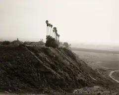 New homes on the former site of a citrus growing estate, East Highlands, California by Robert Adams, 1983, Gelatin silver print, sold Oct 2026