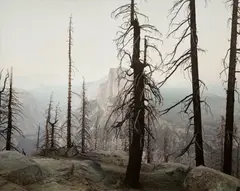 Yosemite by Richard Misrach, 1988, Chromogenic print, printed 2006, flush-mounted, sold Oct 2026