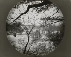 View of Rennie Booher’s House, Danville, Virginia by Emmet Gowin, 1973, Gelatin silver print, printed 1978, sold Oct 2026