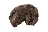 Untitled by David Adamo, bronze, offered Nov 2021