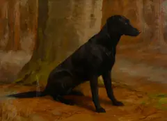British, portrait of a seated Labrador in the woods by F. M. Hollams, oil on panel, sold Mar 2021