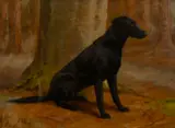 British, portrait of a seated Labrador in the woods by F. M. Hollams, oil on panel, sold Mar 2021
