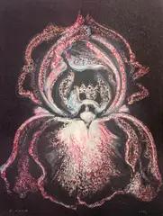 Midnight Iris by Lowell Nesbitt, 1982, mixed media on paper, sold Jul 2022