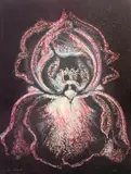 Midnight Iris by Lowell Nesbitt, 1982, mixed media on paper, sold Jul 2022